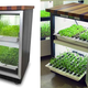 Illustration for article titled Hydroponic Garden Blends Into Your Kitchen For Year Round Herbs